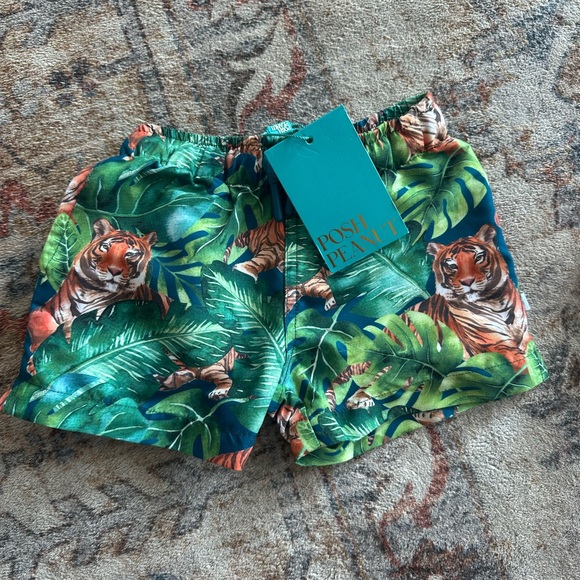 Posh Peanut Green and Blue Swim Trunks Tropical Design - Picture 1 of 2